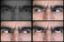 Entre las varias muestras afines con este VIII Sal�n y Coloquio Internacional de Arte Digital se incluye Fast-Forward II (Centro Cultural Cinematogr�fico ICAIC, 19-25 de junio de 2006), proyecto que ha exhibido por s�lo un d�a videoartes de los artistas cubanos Inti Hern�ndez (d�a 19), Ernesto Leal (20), Luis G�mez (21), Jos� �ngel Toirac (22), L�zaro Saavedra (23), Ren� Francisco Rodr�guez (24) y Sandra Ramos (25).
Esta imagen corresponde a la obra El s�ndrome de la sospecha, del destacado L�zaro Saavedra