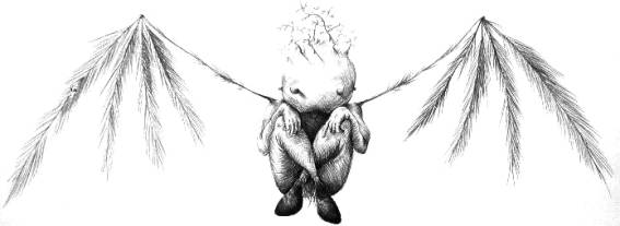 Ilustración: Ray Respall Rojas