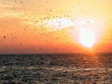 Foto: Mari� Rojas Tamayo