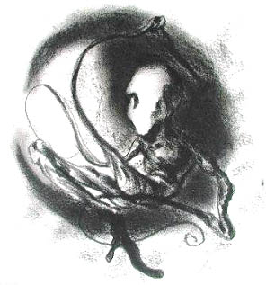 Dibujo: Ray Respall Rojas