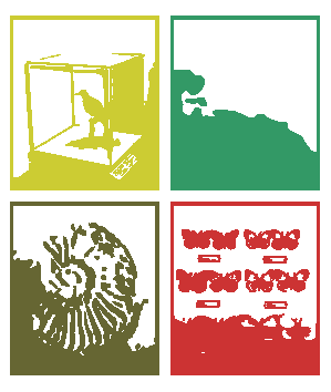 II Simposio de Museos y Salas de Historia Natural. Primera Circular