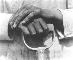 Mani di operaio Messico, 1927 / Manos de obrero, M�xico, 1927
