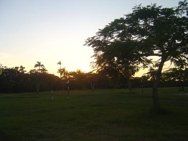 El framboy�n una de los �rboles de mayor predominio de la instalaci�n. Foto: L�zaro David Najarro Pujol