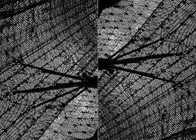 Foto de Rufino del Valle