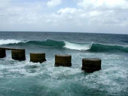 Foto: Marié Rojas Tamayo