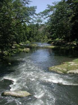 Foto: Marié Rojas Tamayo