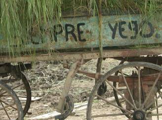 Foto: Marié Rojas Tamayo